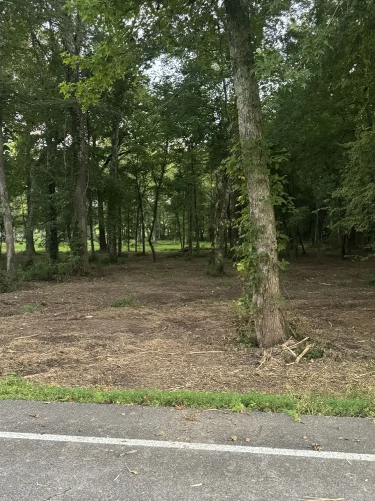 Excavation contractor serving Erin, TN: cleared lot with the larger shade trees left in place
