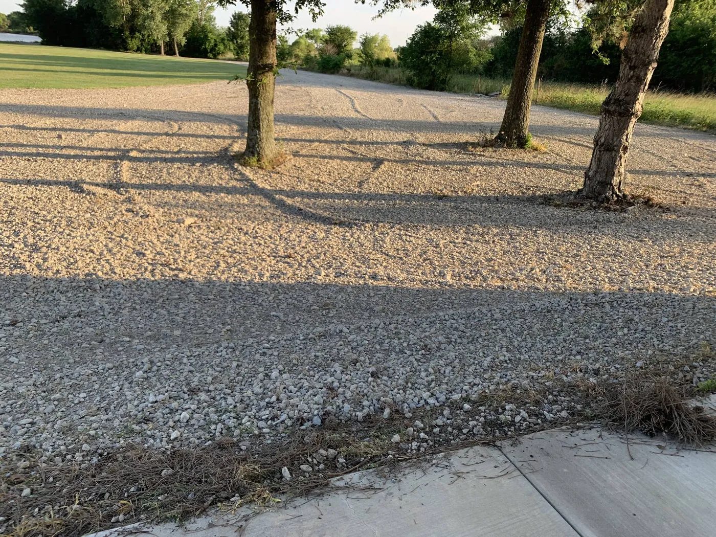 Freshly graded gravel driveway running under shade trees